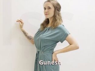 Gunesh