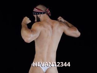 HEVAN12344