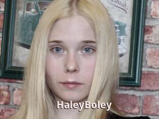 HaleyBoley