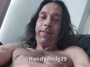 HandyAndy79