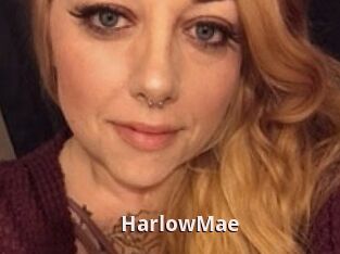 HarlowMae