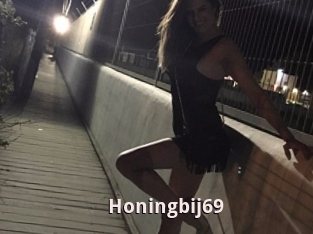 Honingbij69