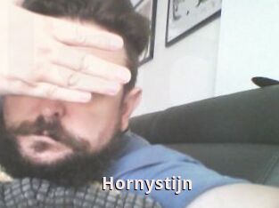 Hornystijn