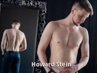 Howard_Stein