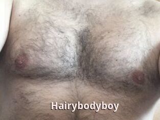 Hairybodyboy