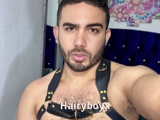 Hairyboyx