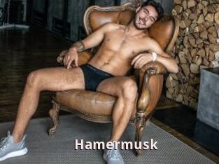Hamermusk