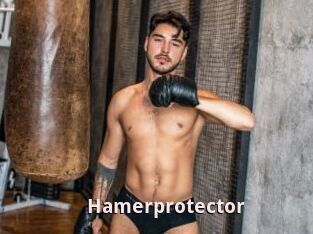 Hamerprotector