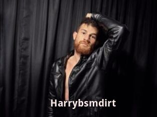 Harrybsmdirt