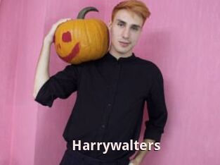 Harrywalters