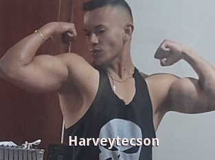 Harveytecson