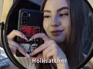 Hollisatcher