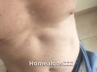 Homealone222