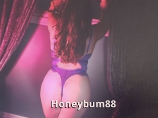 Honeybum88
