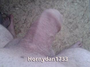 Hornydan1733