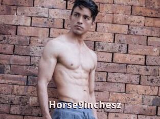 Horse9inchesz