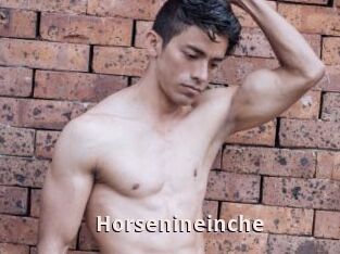Horsenineinche