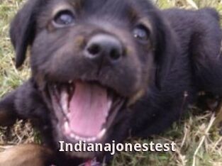 Indianajonestest