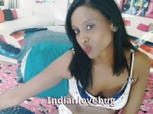 Indianlovebug