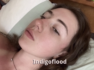 Indigoflood