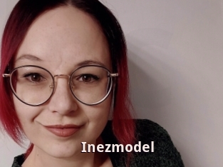 Inezmodel