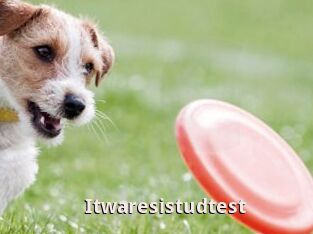 Itwaresistudtest
