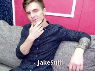 JakeSulii
