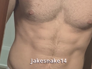 Jakesnake14