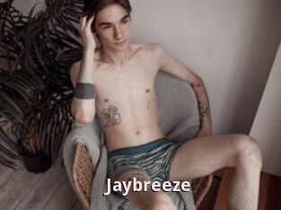 Jaybreeze