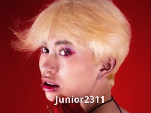 Junior2311