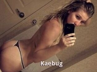 Kaebug