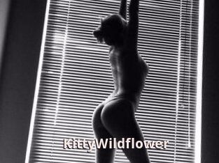 KittyWildflower