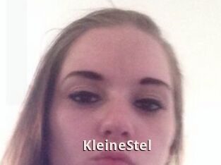 KleineStel