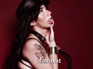 Kamicat