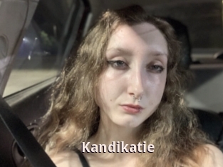 Kandikatie