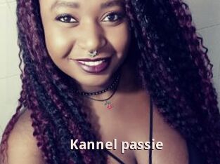 Kannel_passie