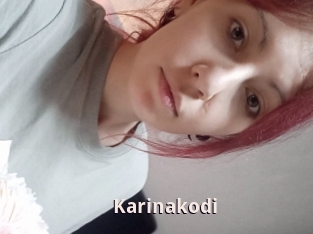 Karinakodi