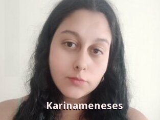 Karinameneses