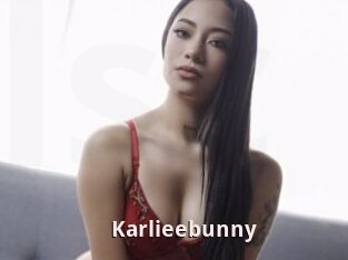 Karlieebunny