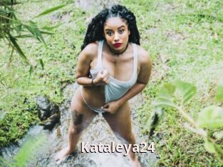 Kataleya24