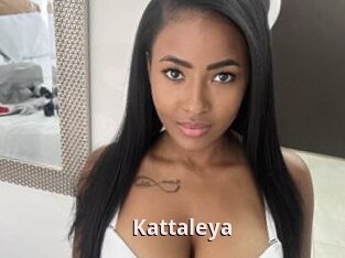 Kattaleya