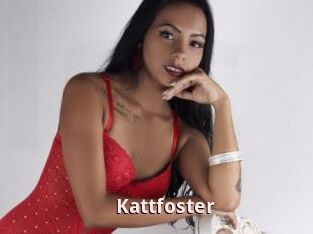 Kattfoster