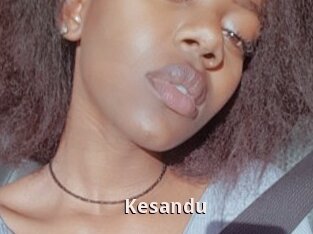 Kesandu