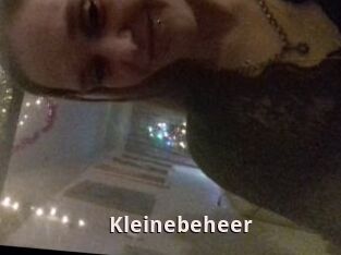 Kleinebeheer