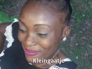 Kleingaatje