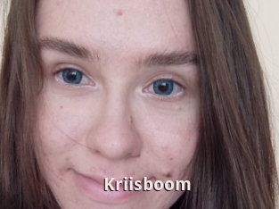 Kriisboom