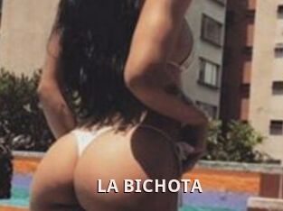 LA_BICHOTA