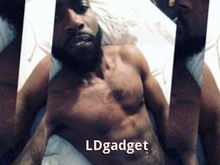 LDgadget