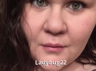 Ladybug22
