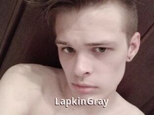 LapkinGray
